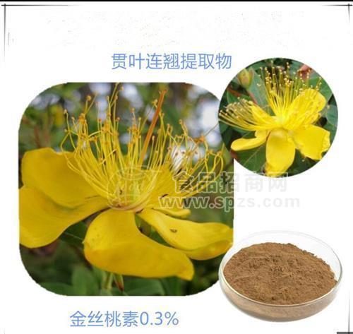 金丝桃素0.3% 现货供应 贯叶连翘提取物 1KG起订 包邮