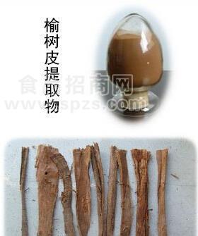 榆树皮提取物 榆树根皮浸膏粉 榆树皮浓缩粉  10:1多种规格1公斤起订厂家包邮