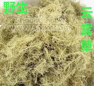 云雾草提取物  龙须草/金丝藤/云雾草比例提取物 多种规格1公斤起订厂家包邮