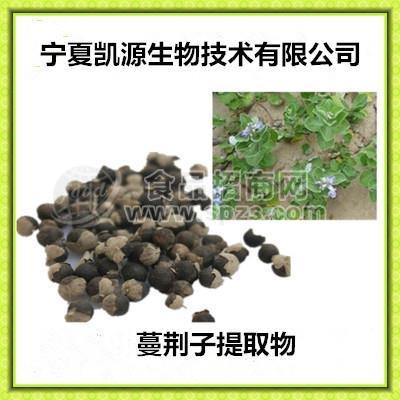 蔓荊子提取物 白背風(fēng)提取物 現(xiàn)貨