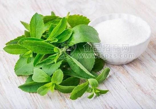 甜叶菊提取物10:1厂家现货 水溶性甜叶菊粉 甜菊糖苷