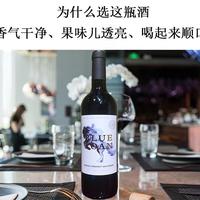 澳大利亚原瓶进口干红蓝血马