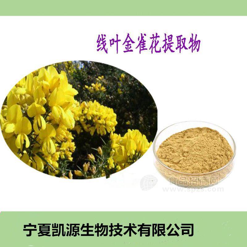 線(xiàn)葉金雀花提取物 水溶性 1kg起批 含運(yùn)費(fèi)