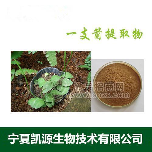 一支箭浓缩粉 速溶规格可定制 一支箭提取物  10:1多种规格1公斤起订厂家包邮