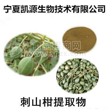 刺山柑提取物 刺山柑粉 刺山柑速溶粉 10:1 現(xiàn)貨包郵