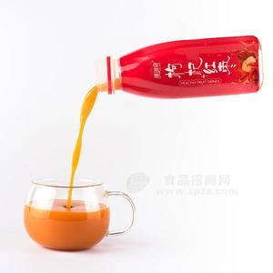 珊瑚泉枸杞饮料 红枣饮料 枸杞大枣 果汁饮料招商