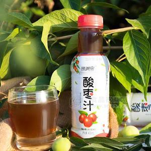 珊瑚泉 樂(lè)尚 酸棗汁飲料 果味飲料  果汁飲料招商加盟430ml