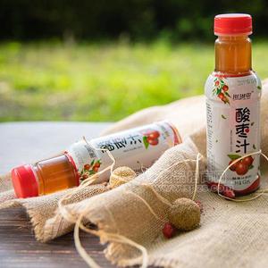 珊瑚泉酸枣汁饮料果味饮料  430ml