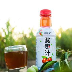 乐尚珊瑚泉酸枣汁饮料果味饮料招商430ml