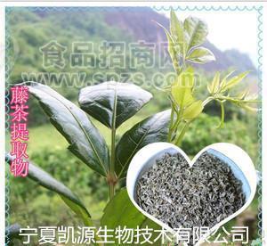 藤茶提取物10：1 顯齒蛇葡萄葉提取 廠家直銷