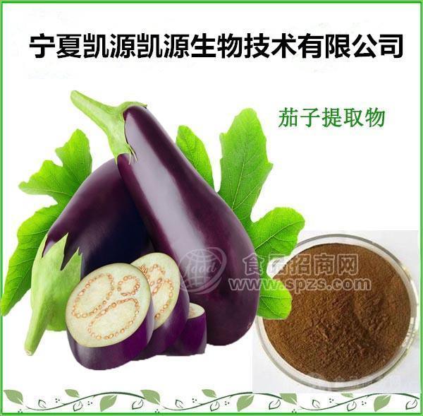 茄子提取物10:1 廠家現(xiàn)貨供應(yīng) 水溶性茄子粉 多種規(guī)格1公斤起訂廠家包郵