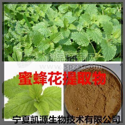 檸檬香蜂草提取物10:1 檸檬香蜂草粉 多種規(guī)格1公斤起訂廠家包郵