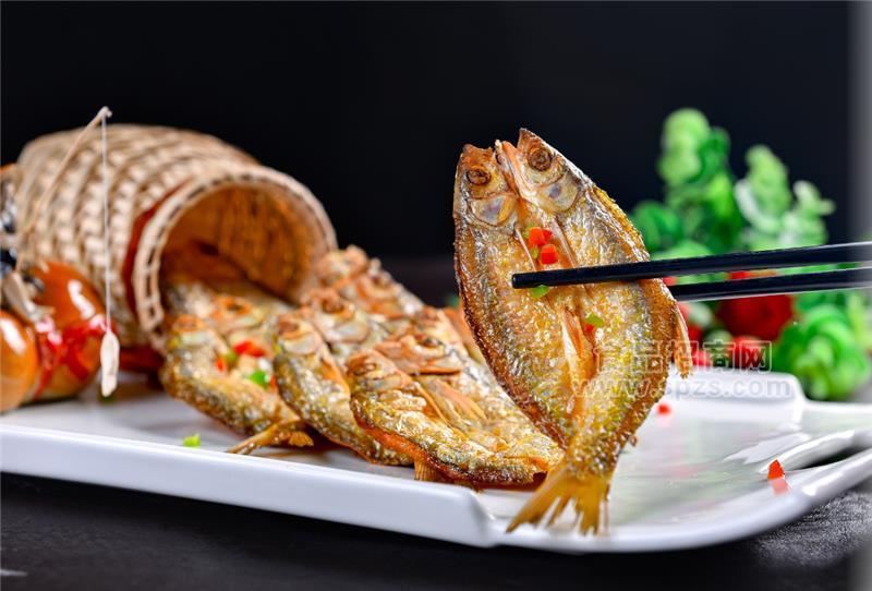 紅 尾魚