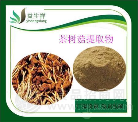 茶树菇提取物 茶树菇粉 茶树菇浸膏 甘肃益生祥 茶树菇多糖