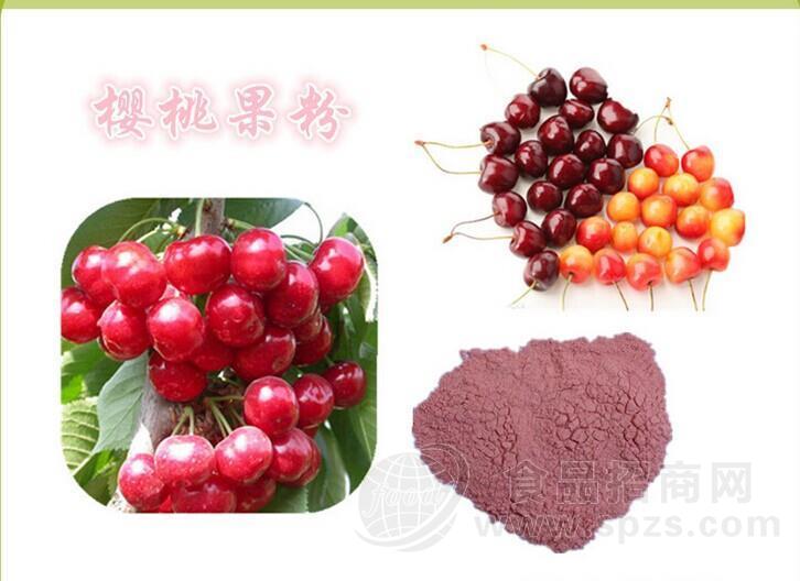 酸樱桃提取物  酸樱桃果汁粉