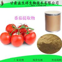 番茄膳食纤维 番茄纤维粉 1公斤起订 长期供应
