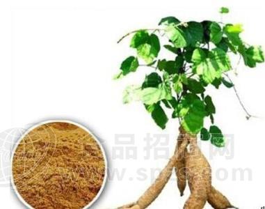 固体饮料添加葛根提取物 葛根粉10:1 植提厂家现货供应