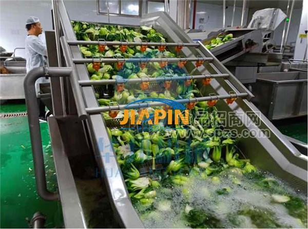 全自動臭氧殺菌蔬菜清洗機 佳品機械定做蔬菜清洗機