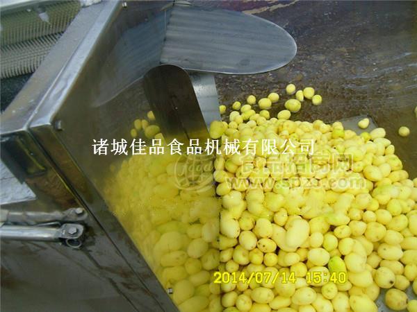 內(nèi)蒙古土豆馬鈴薯去皮清洗機(jī)