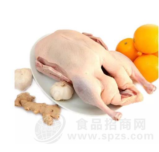 家禽屠宰场