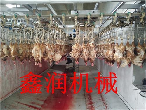 蛋鸡成套屠宰设备专业生产厂家