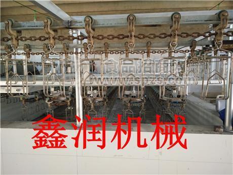 中型鸽子专用宰杀设备哪家强