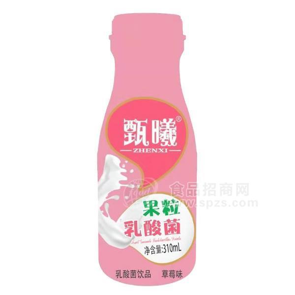 甄曦草莓味果粒乳酸菌饮品 310ml