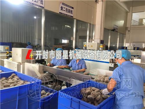 丽星大型碗装酸辣粉生产线 带烘干模块 方便粉丝专用设备