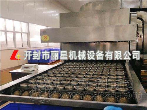 红薯酸辣粉加工设备 丽星直供坨状粉饼生产线 性能稳定
