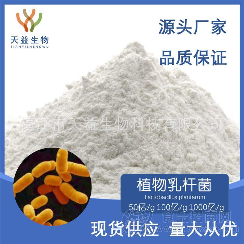 植物乳杆菌100亿 益生菌冻干粉 肠道益生元固体饮料 代餐粉酵素
