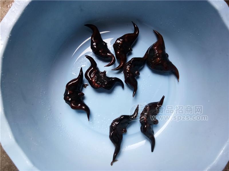 2019年哪里有高產(chǎn)大菱角種子出售