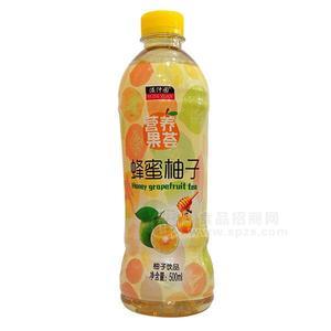 溢汁园 营养果荟蜂蜜柚子饮品500ml