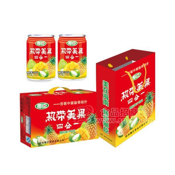 椰臣 热带美果四合一椰粒果汁饮料招商