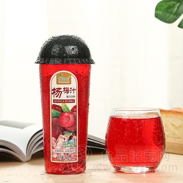 念尚你 杨梅汁果汁饮料 500ml
