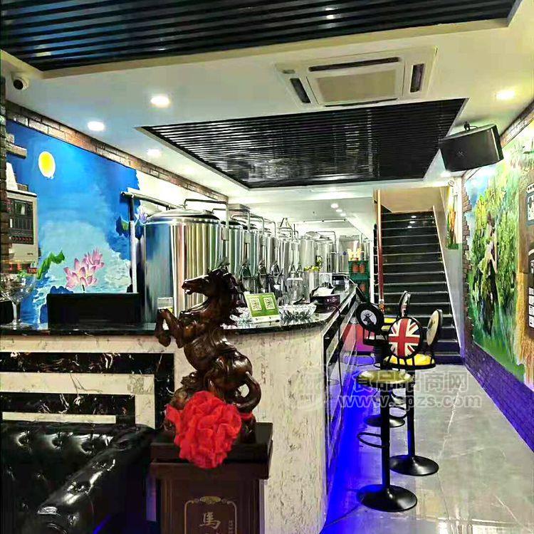 供应烧烤店小型自酿啤酒设备300升厂家直供
