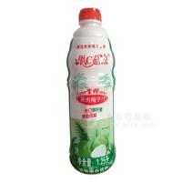 果C菇?jīng)?生榨果肉椰子汁飲料 植物蛋白飲料1.25L