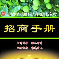 野生核桃油