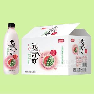 益和源元?dú)饪煽晌鞴衔短K打氣泡水飲料480mlx12瓶