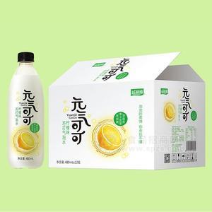 益和源元?dú)饪煽蓹幟饰短K打氣泡水飲料480mlx12瓶