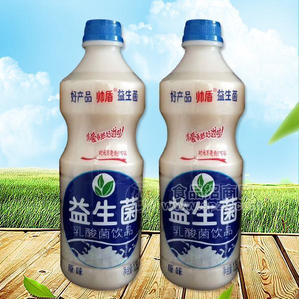 帥盾 原味益生菌乳酸菌飲品招商