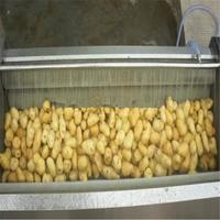弗朗土豆、红薯、蔬菜、水产毛辊清洗机