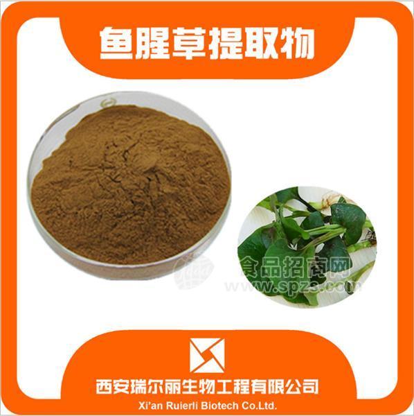 鱼腥草提取物10:1厂家直销 鱼腥草粉 臭腥草西安瑞尔丽现货包邮