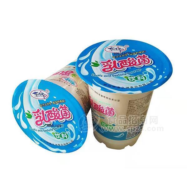 有情郎乳酸菌飲料 300ml招商