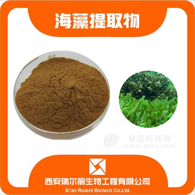 厂家直销 海藻提取物10:1海藻粉 海带花海藻菜西安瑞尔丽现货包邮