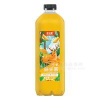 豫浪鑫芒果益生菌发酵复合果汁饮料1.5L