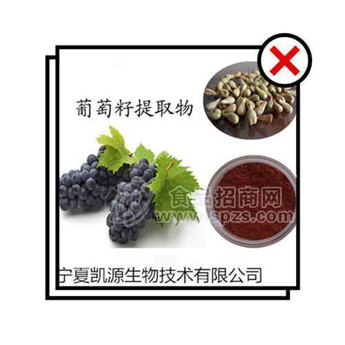 凱源現(xiàn)貨 葡萄籽提取物  葡萄籽原花青素 多酚80%  廠家推廣