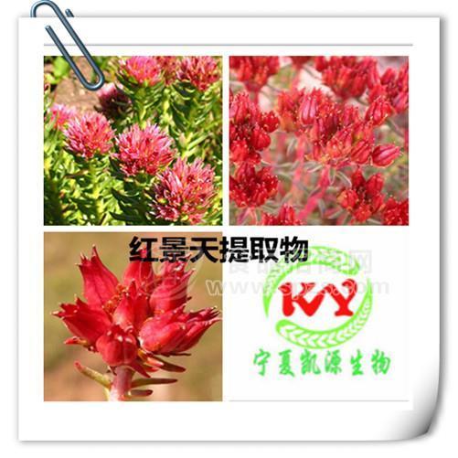 凱源生物 紅景天多糖 50% 紅景天提取物 量大從優(yōu) 廠家供應