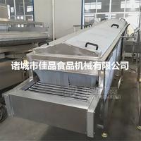 紫薯清洗機  火龍果清洗設備 佳品機械