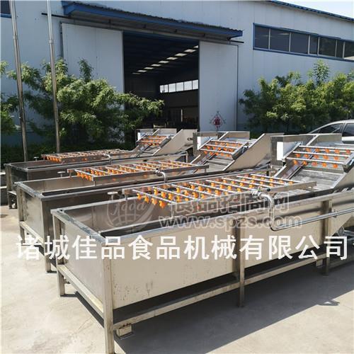 全自动洗鱼流水线  鱼虾清洗线