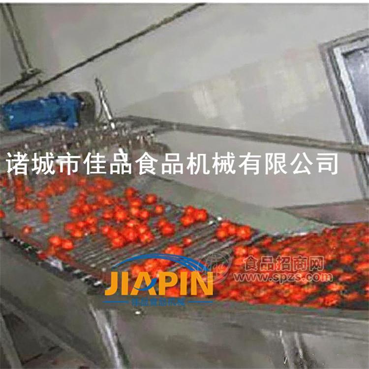 大型火龙果清洗机 柠檬橘子清洗机 莲藕清洗机